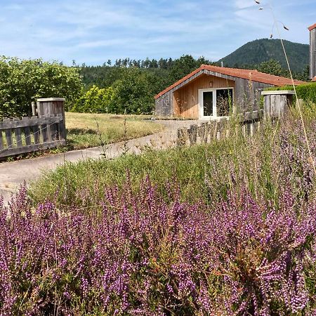 Le Chalet Dans La Nature Saulcy-sur-Meurthe Экстерьер фото