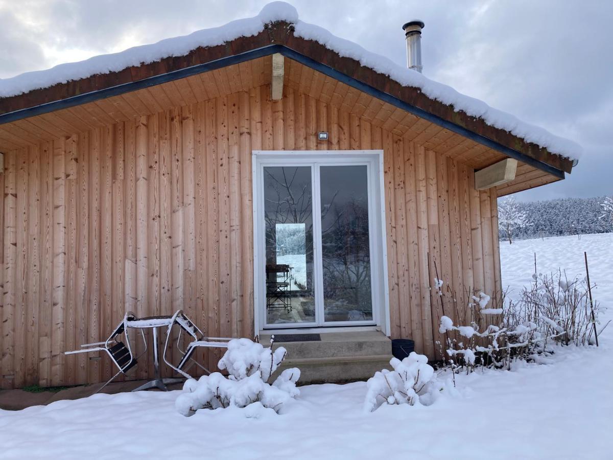 Le Chalet Dans La Nature Saulcy-sur-Meurthe Экстерьер фото